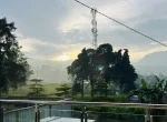 View depan kebun teh